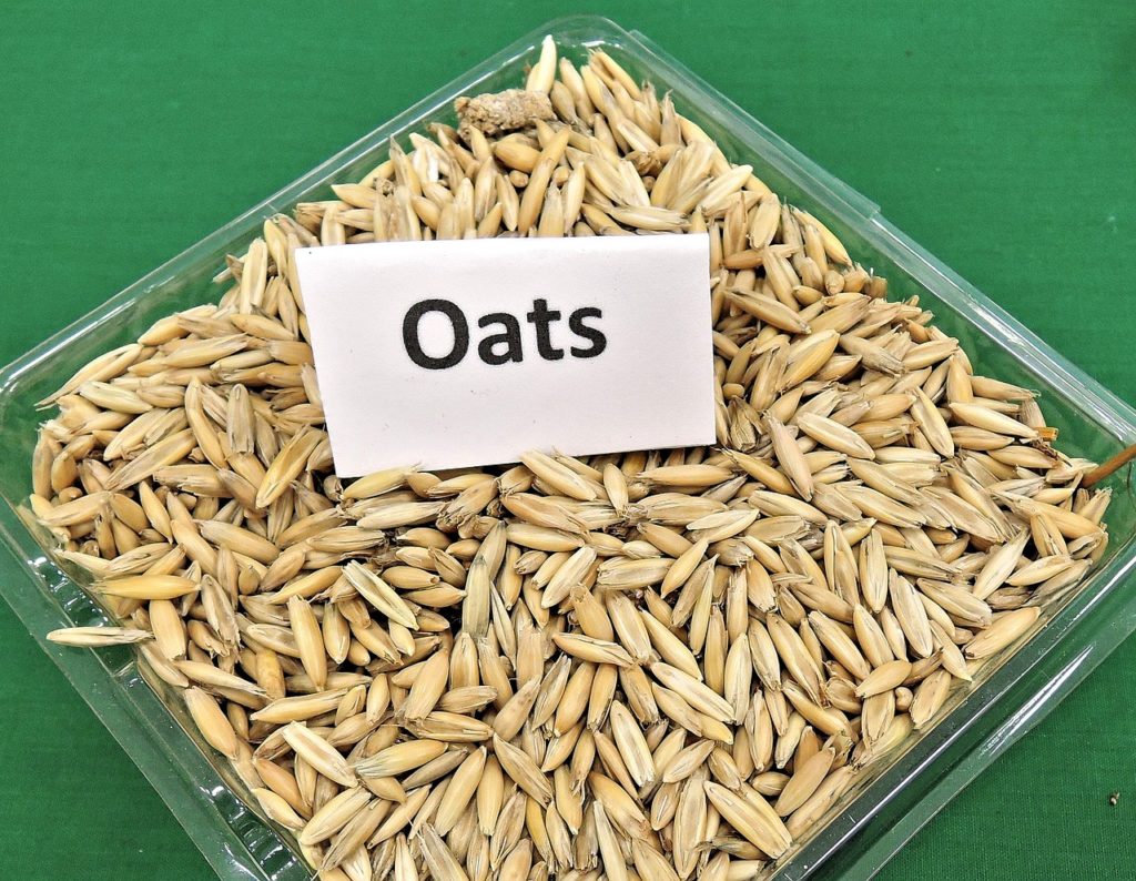 oats, grain, cereal